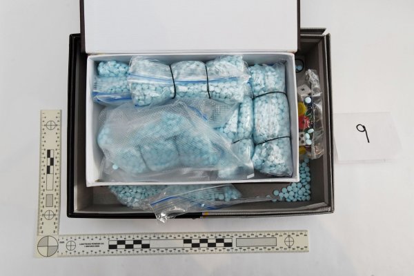 darknet drug links