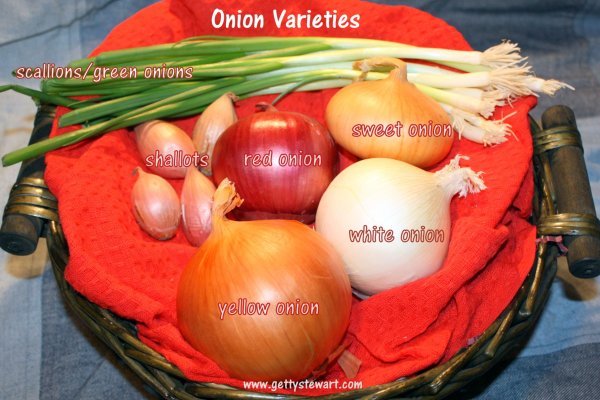abacus onion
